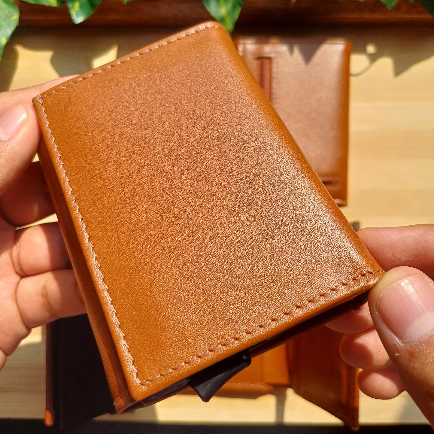 Billetera Apolo
