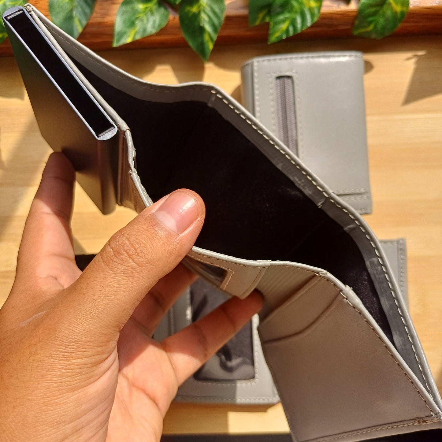 Billetera Apolo
